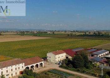 Foto 1 - Agricultural land Albaredo d'Adige - photo 1