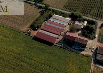 Foto 3 - Agricultural land Albaredo d'Adige - photo 3