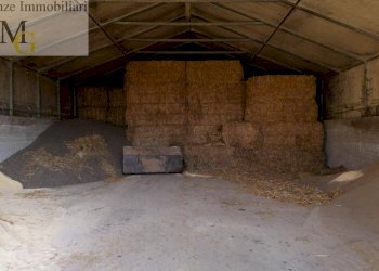 Foto 5 - Agricultural land Albaredo d'Adige - photo 5