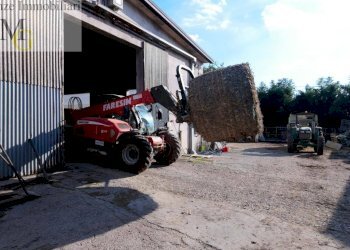 Foto 7 - Agricultural land Albaredo d'Adige - photo 7