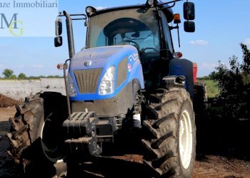 Foto 9 - Agricultural land Albaredo d'Adige - photo 9