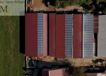 Foto 13 - Agricultural land Albaredo d'Adige - photo 13