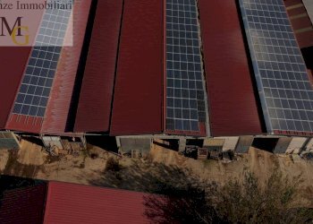 Foto 14 - Agricultural land Albaredo d'Adige - photo 14