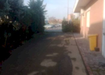 Cortile interno - Capannone via Magazzino, Carpi - foto 14