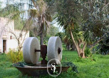 Foto 3 - Rustico Contrada Pallone, Francavilla Fontana - foto 3