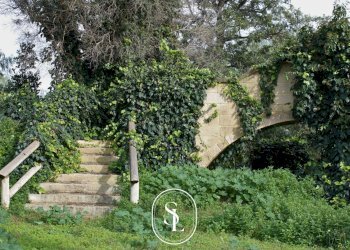 Foto 10 - Rustico Contrada Pallone, Francavilla Fontana - foto 10