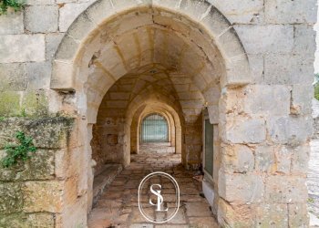 Foto 14 - Rustico Contrada Pallone, Francavilla Fontana - foto 14