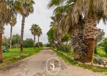 Foto 60 - Rustico Contrada Pallone, Francavilla Fontana - foto 60