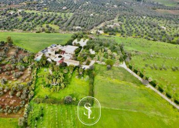 Foto 65 - Rustico Contrada Pallone, Francavilla Fontana - foto 65