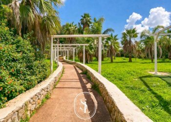 Foto 24 - Rustico Contrada Pallone, Francavilla Fontana - foto 24