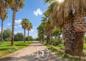 Foto 59 - Rustico Contrada Pallone, Francavilla Fontana - foto 59