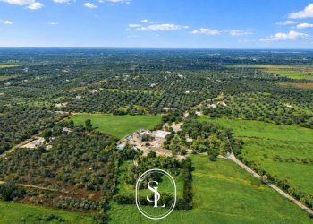 Foto 65 - Rustico Contrada Pallone, Francavilla Fontana - foto 65