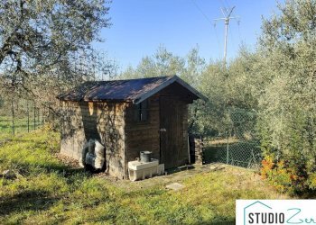 Foto 5 - Rustico RIMEMBRANZE
 
22, Amelia - foto 5