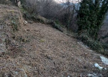 Terreno - Rustico via Paolo Frairia, 20, Porte - foto 13