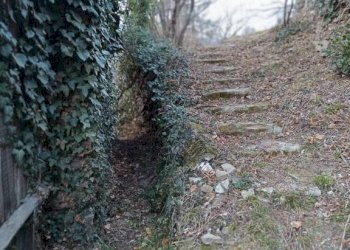 Giardino - Rustico via Paolo Frairia, 20, Porte - foto 15