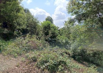 Terreno - Rustico via Paolo Frairia, 20, Porte - foto 17