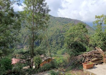 Terreno - Rustico via Paolo Frairia, 20, Porte - foto 18