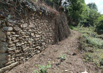 Terreno - Rustico via Paolo Frairia, 20, Porte - foto 19