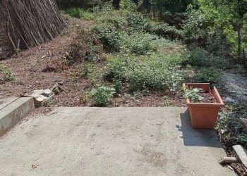 Giardino - Rustico via Paolo Frairia, 20, Porte - foto 20