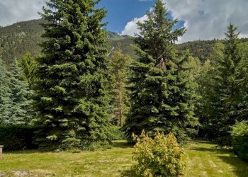 Giardino - Quadrilocale via Roma, 39, Fenestrelle - foto 24