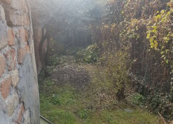 giardino - Casa indipendente via Camporelle, Crema - foto 23