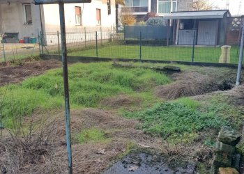 giardino - Casa indipendente via Camporelle, Crema - foto 26