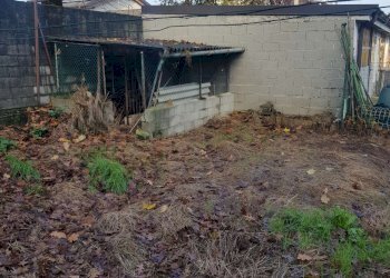 giardino - Casa indipendente via Camporelle, Crema - foto 27