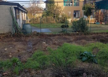 giardino - Casa indipendente via Camporelle, Crema - foto 28