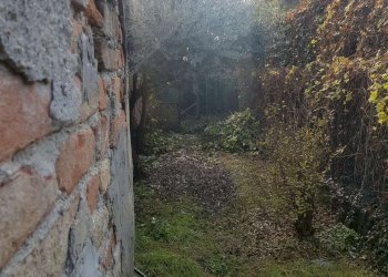 giardino - Casa indipendente via Camporelle, Crema - foto 44