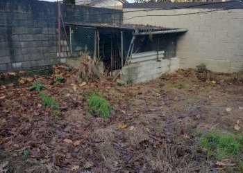 giardino - Casa indipendente via Camporelle, Crema - foto 49