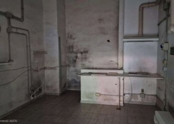 img-20251210-wa0013 - Locale Commerciale via Manlio Torquato, Roma - foto 8