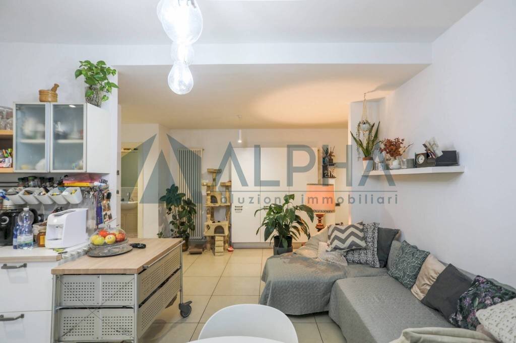 Salone - Quadrilocale via Nicola Nagli, 13, Rimini - foto 2