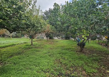 32.jpg - Villa Via San Giuliano San Elena 22, Modica - foto 14