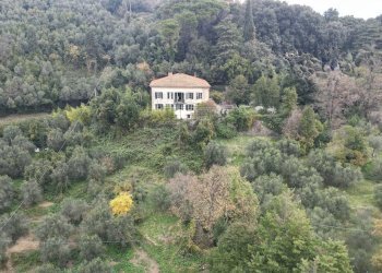 vendesi villa con giardino luccaDJI_0088.JPG - Villa SP1 4590, Lucca - foto 19