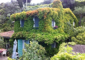 pi2.jpg - Villa Camaiore - foto 4