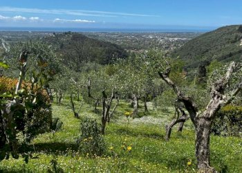 pi8.jpg - Villa Camaiore - foto 10