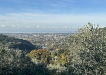 pi10.jpg - Villa Camaiore - foto 12