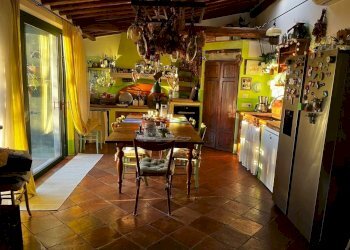 pi14.jpg - Villa Camaiore - foto 16