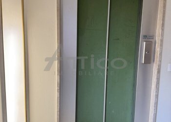 IMG_8715.jpeg - Ufficio Piazza Vittorio Emanuele RO, Rovigo - foto 5