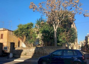 WhatsApp Image 2025-12-11 at 10.03.40.jpeg - Terreno edificabile via tiburtina 134, Tivoli - foto 3