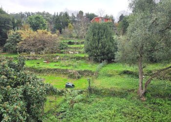 20251211_112044.jpg - Trilocale Via del Molinello 26, Rapallo - foto 17