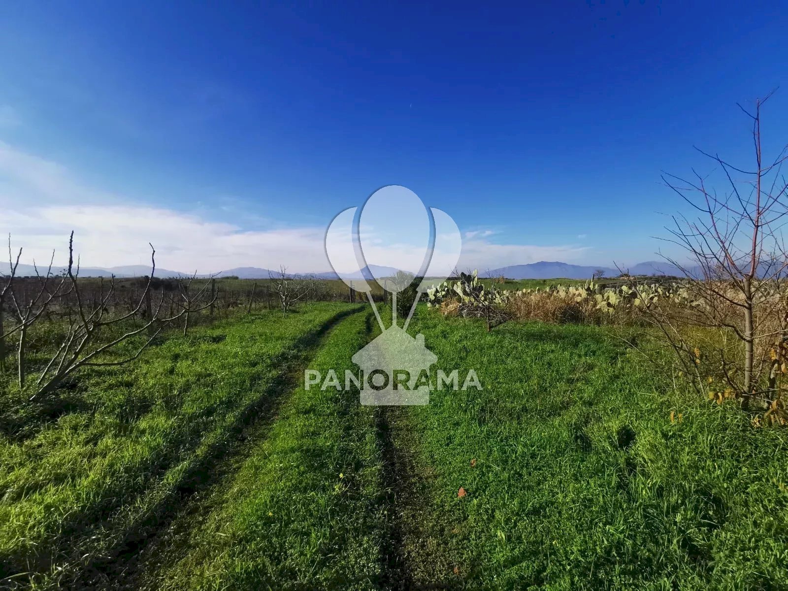 Building land Partinico - photo 1