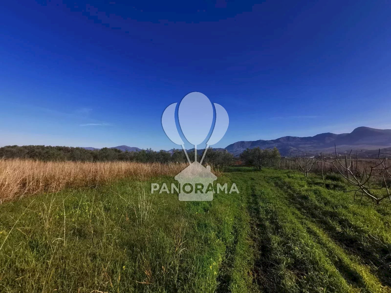 Building land Partinico - photo 2