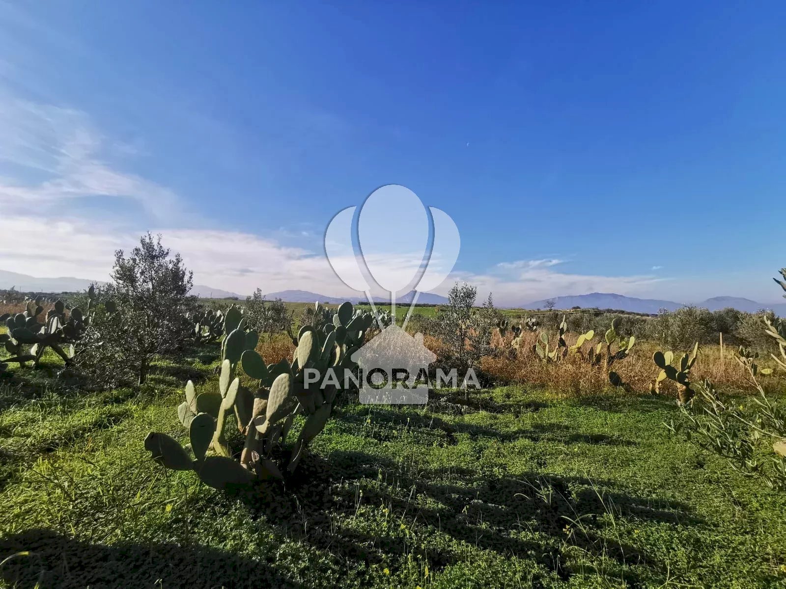 Building land Partinico - photo 3