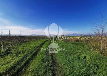 Terreno edificabile Partinico - foto 1