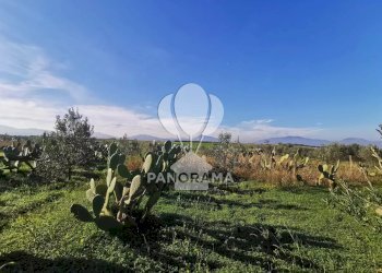 Terreno edificabile Partinico - foto 3