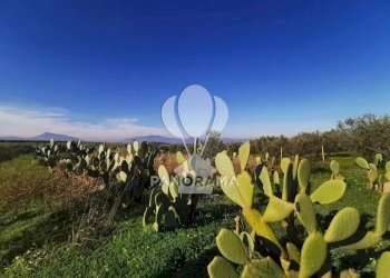 Terreno edificabile Partinico - foto 4