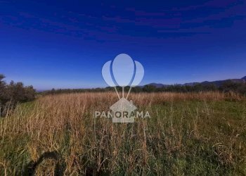 Terreno edificabile Partinico - foto 5