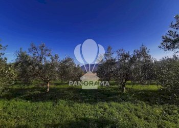 Terreno edificabile Partinico - foto 6