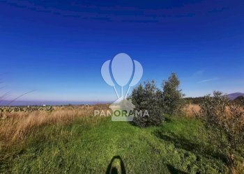 Terreno edificabile Partinico - foto 7